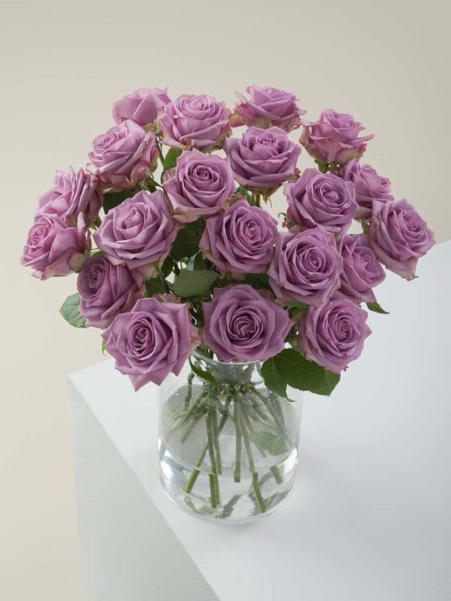 Cool Water roses in a vase