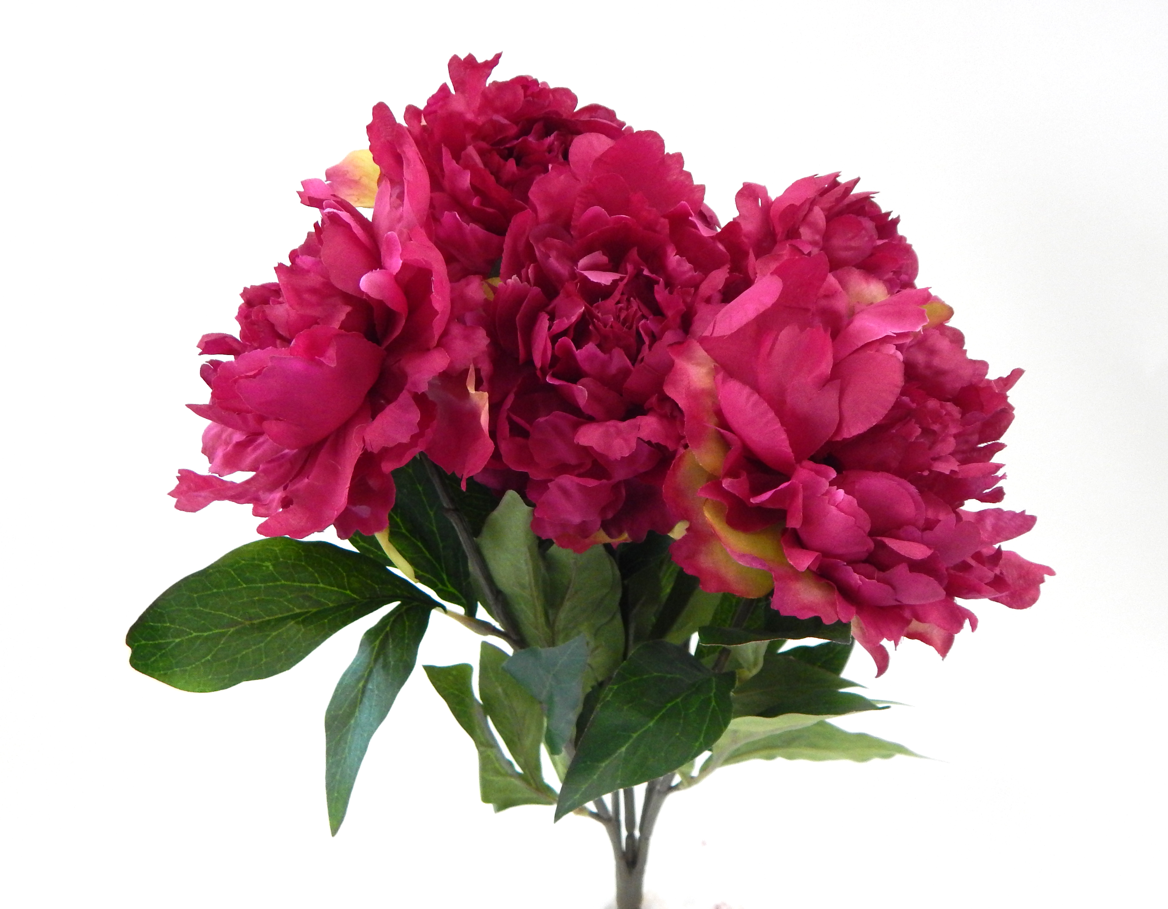 17.5″ Garden Peony Bush