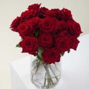 Explorer roses in a vase