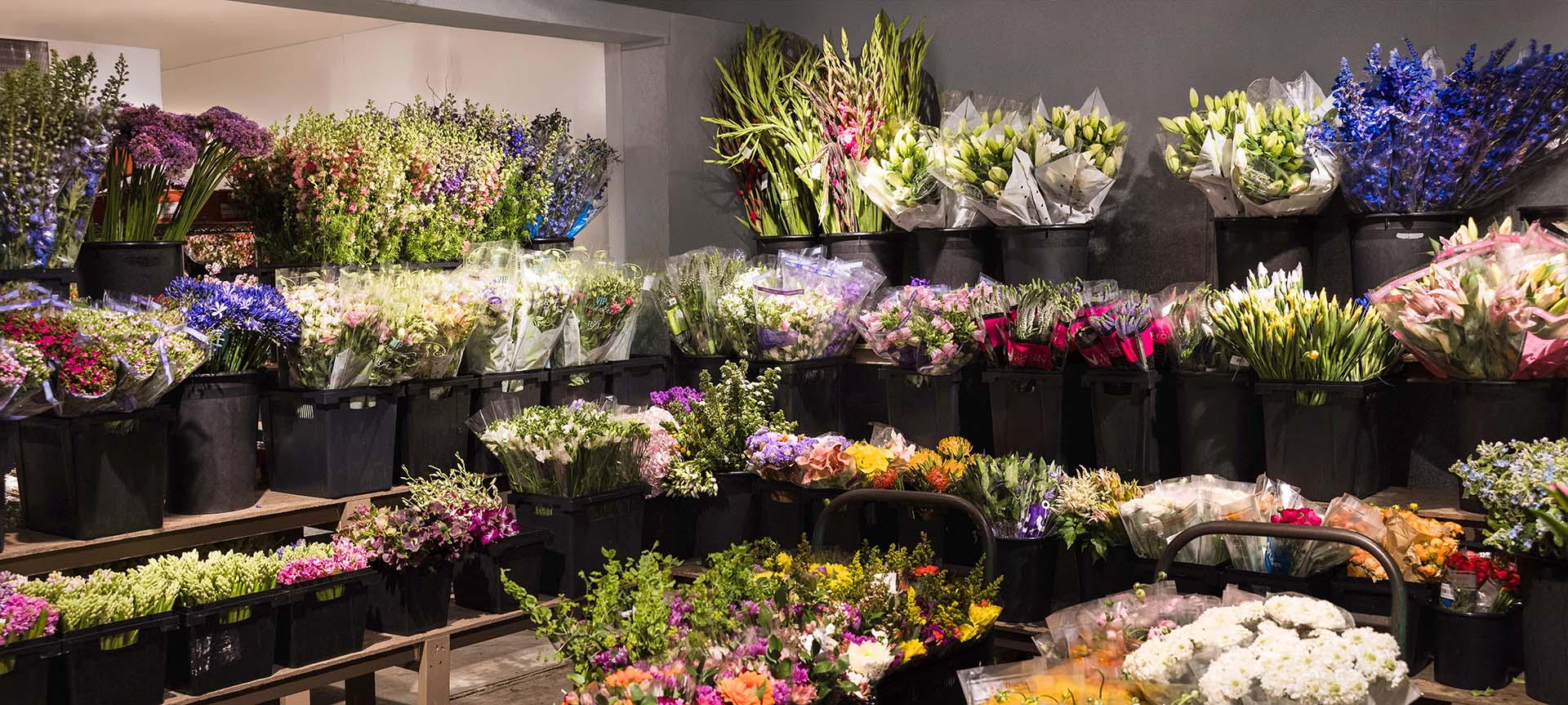Fresh flowers in cooler