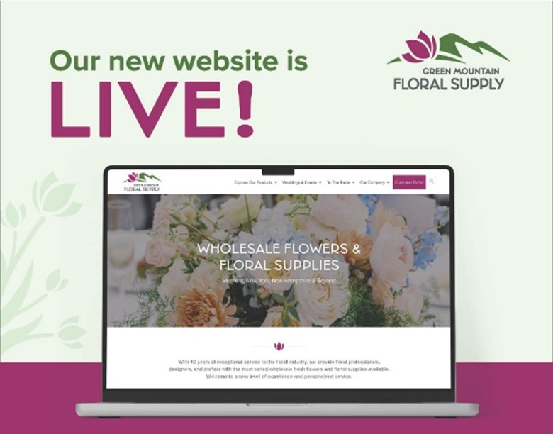 picture of new website homepage