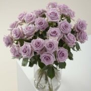 ocean song roses in a vase