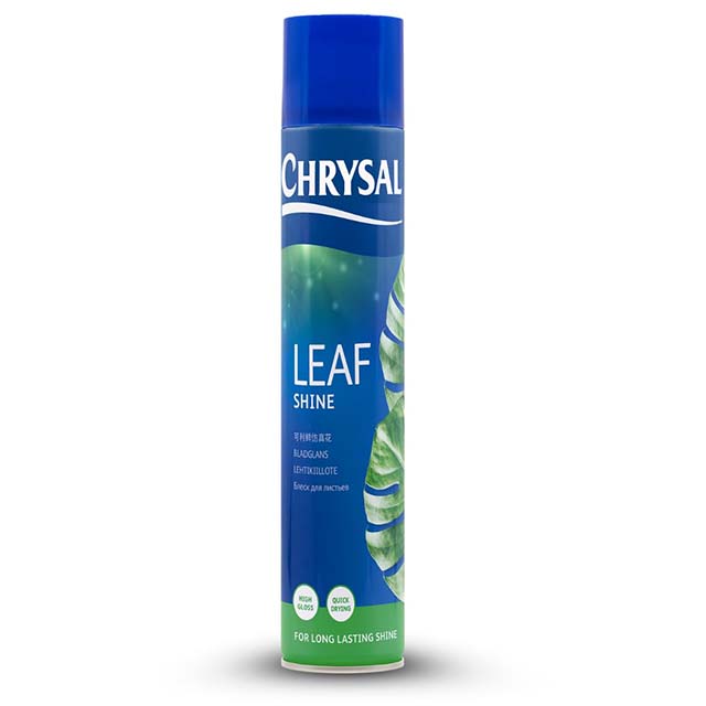 chrysal leafshine