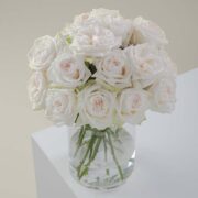 White O'Hara roses in a vase